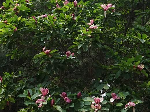 奥林匹克水上公园1小时游