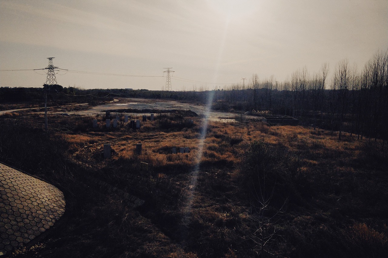 新冠期间的湖北