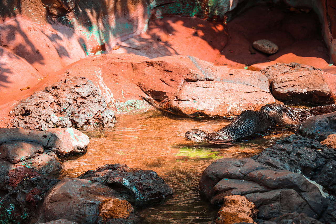 顺德长鹿休闲度假农庄（图ZMjczODQ4ODY4） - 风光摄影 - 站酷设计师光速工作室原创素材 - 站酷ZCOOL