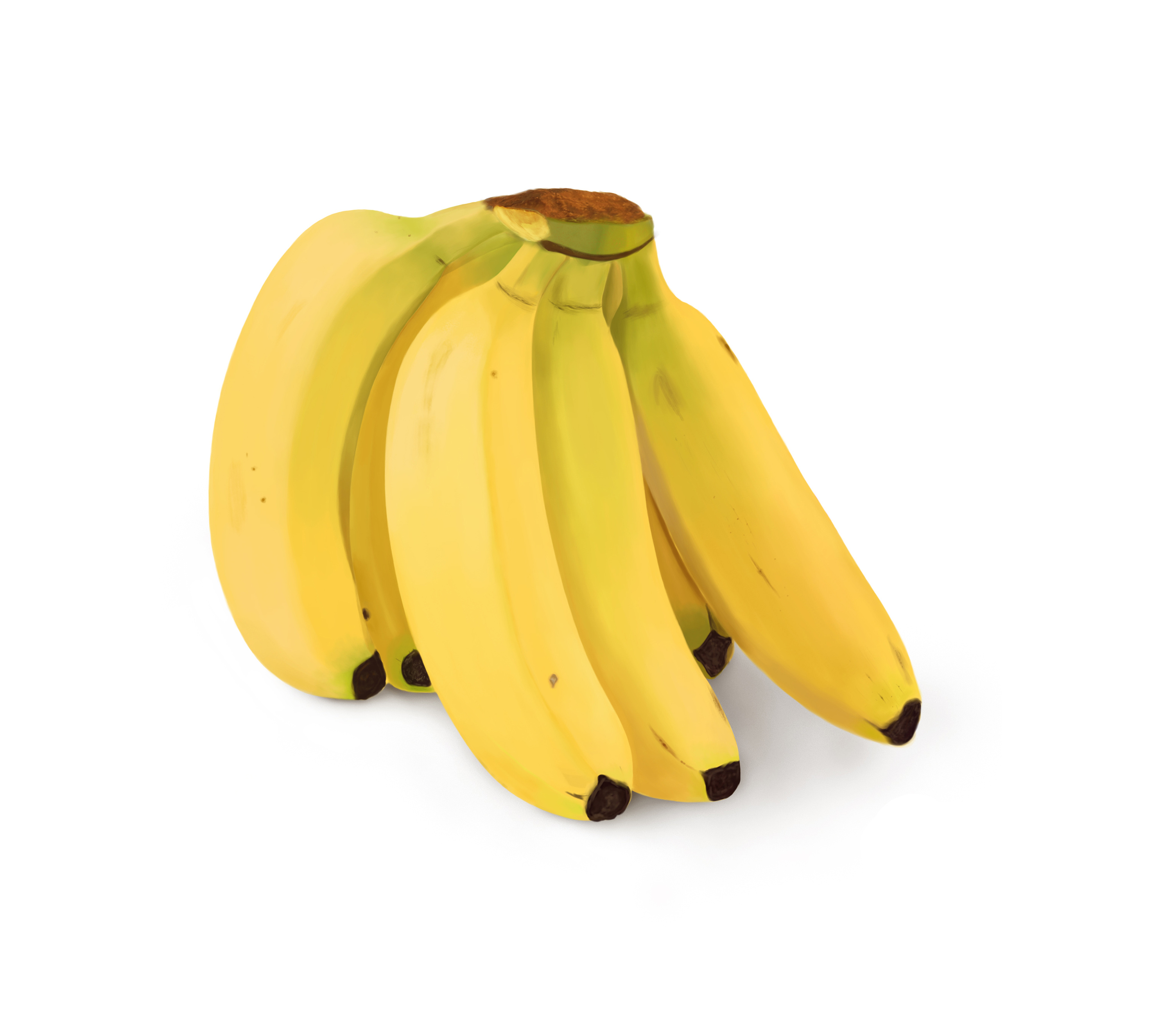 写实手绘——香蕉