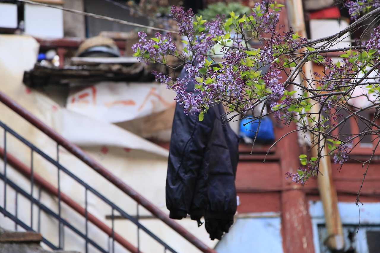 我生活过的青岛