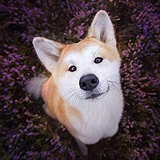 Mr丶杨先生的头像