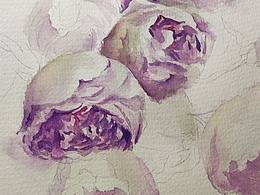 寫(xiě)生花卉～