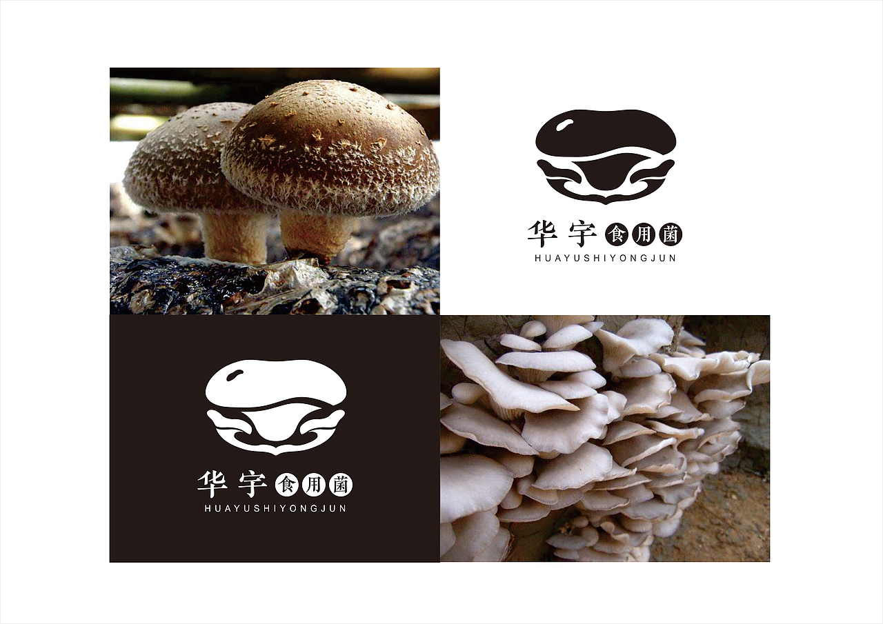 华宇食用菌logo