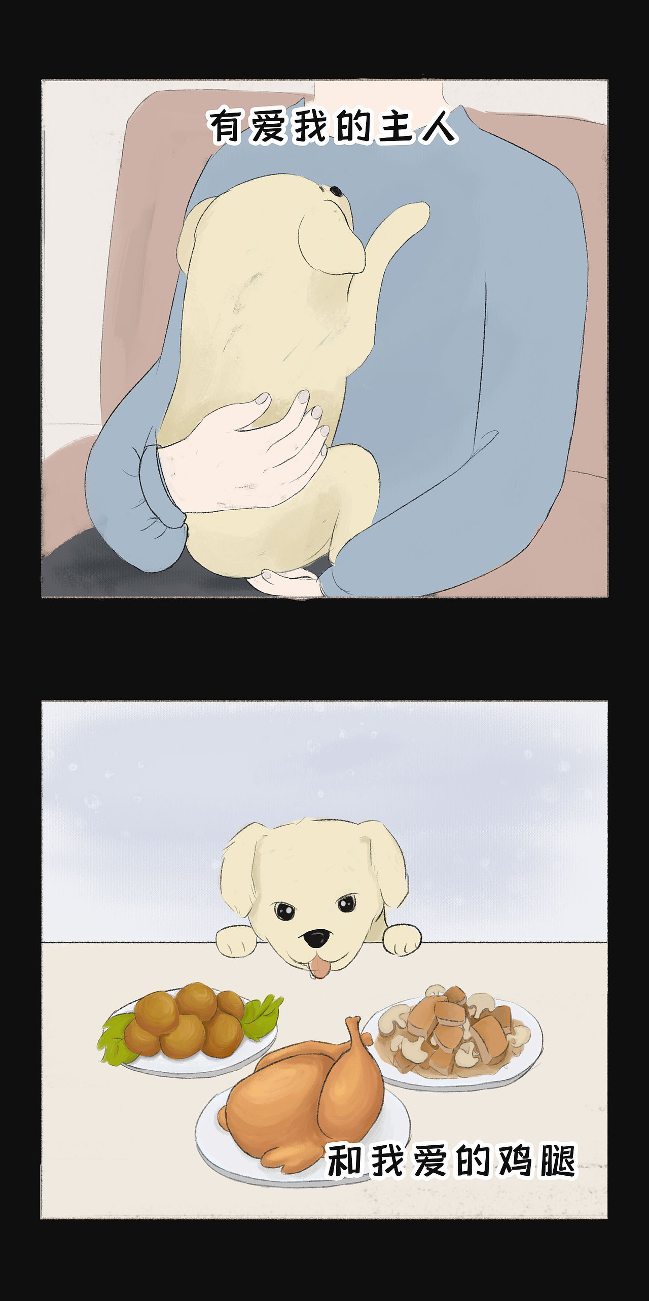 那些被遗弃的宠物都去哪儿了?