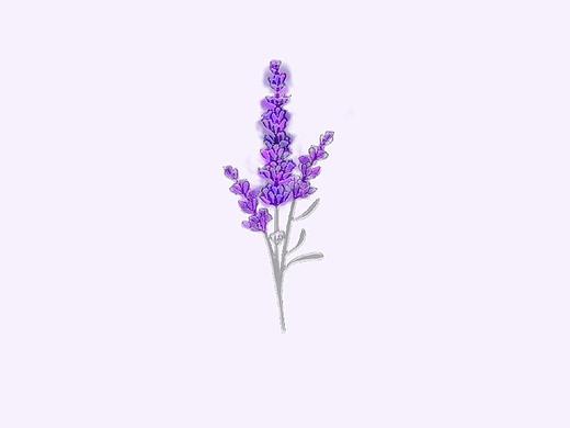 Flora精油包装
