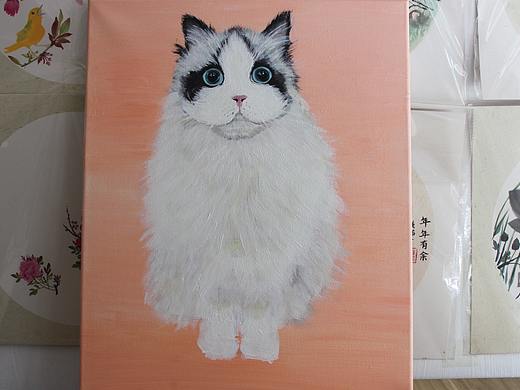 布偶猫