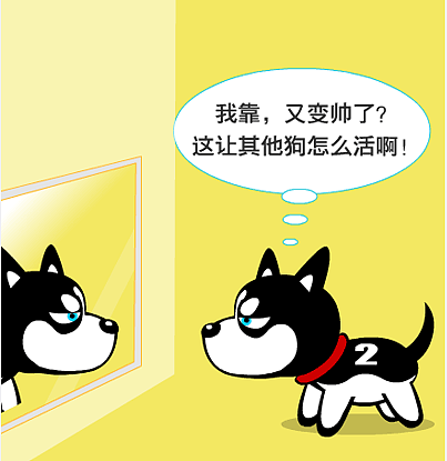 哈小齐的以往表情