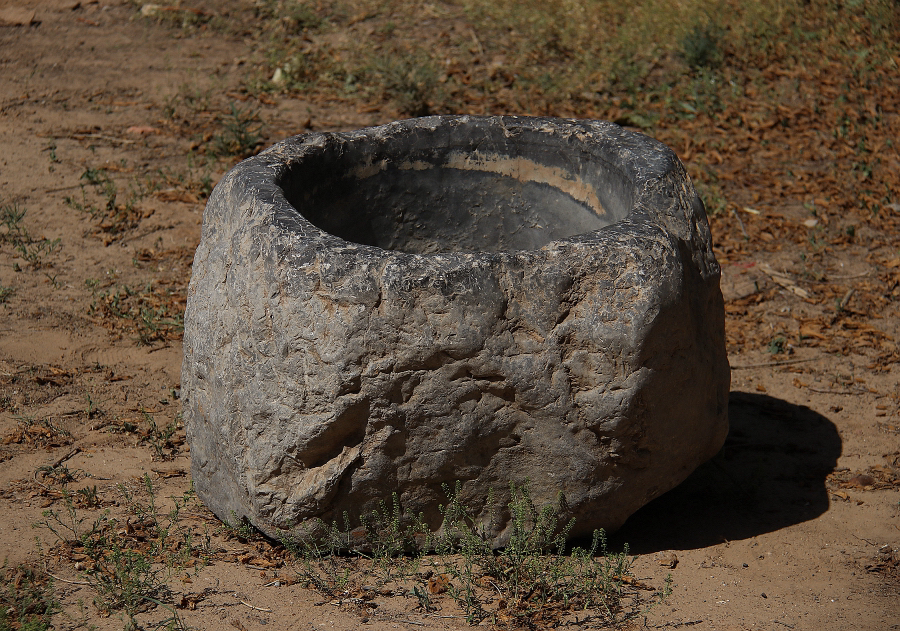 鱼盆_亿古小舍站酷ZCOOL