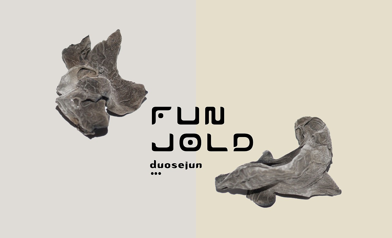 多色菌（图ZNTk5MjcwOTY=） - 其他平面 - 站酷设计师停道酬勤原创素材 - 站酷ZCOOL