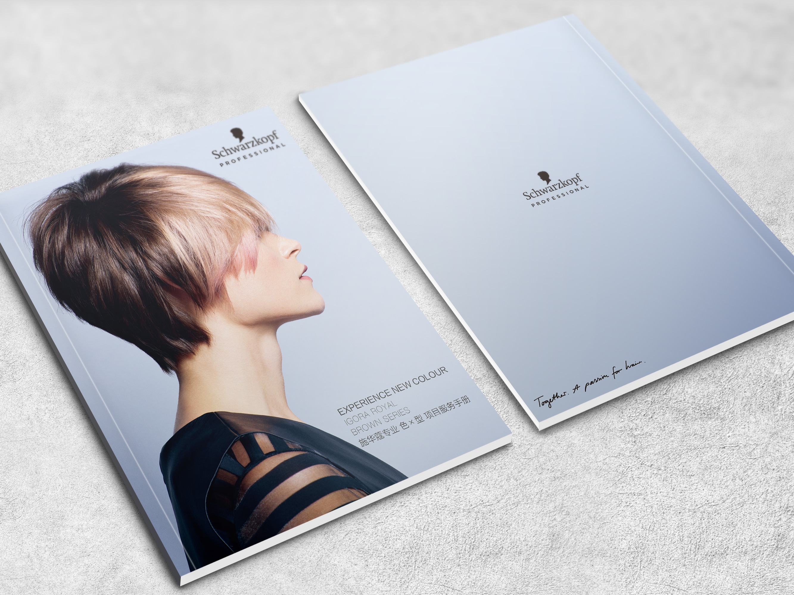 色板施华蔻120周年合作染发色板