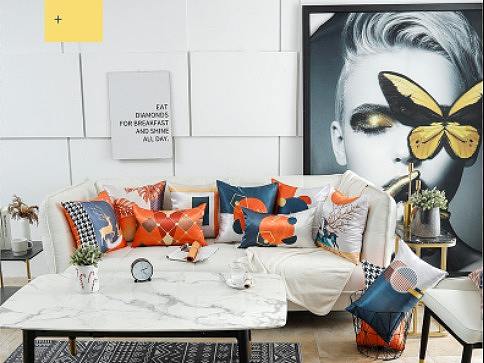 抱枕（个人主页-ZNTU2NDQ2Mjg=） - 电商 - 站酷设计师Z80028614原创素材 - 站酷ZCOOL