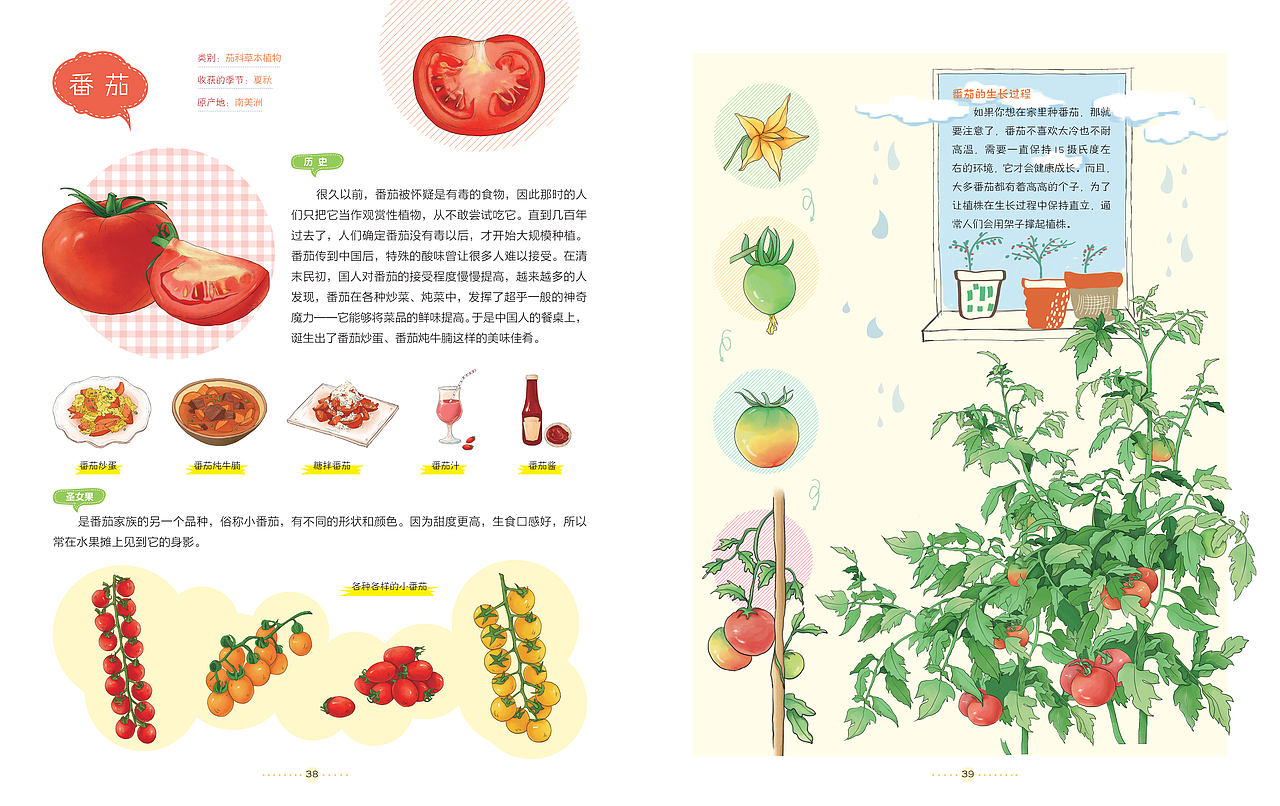 去野花-水果蔬菜（图ZMjgxMzE4MTg4） - 绘本 - 站酷设计师高傲的喵原创素材 - 站酷ZCOOL