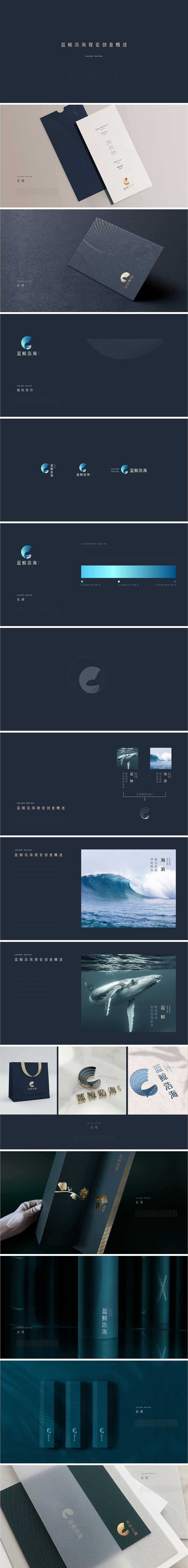 浩海蓝鲸品牌视觉设计