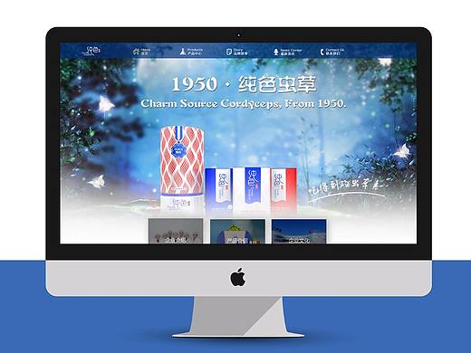 纯色品牌网站
