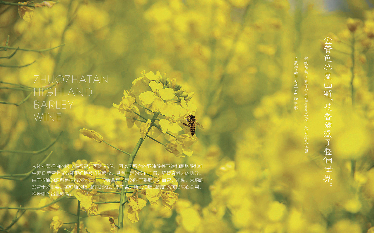 青海卓扎滩原生态系列产品包装方案设计（图ZMTgzNjkxMzIw） - 包装 - 站酷设计师青海明度文化传播原创素材 - 站酷ZCOOL