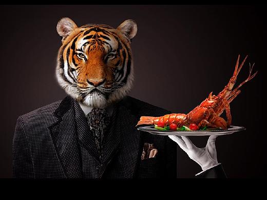 Other（个人主页-ZMzQ4MTI3NTY=） - 图案 - 站酷设计师ken19830717原创素材 - 站酷ZCOOL