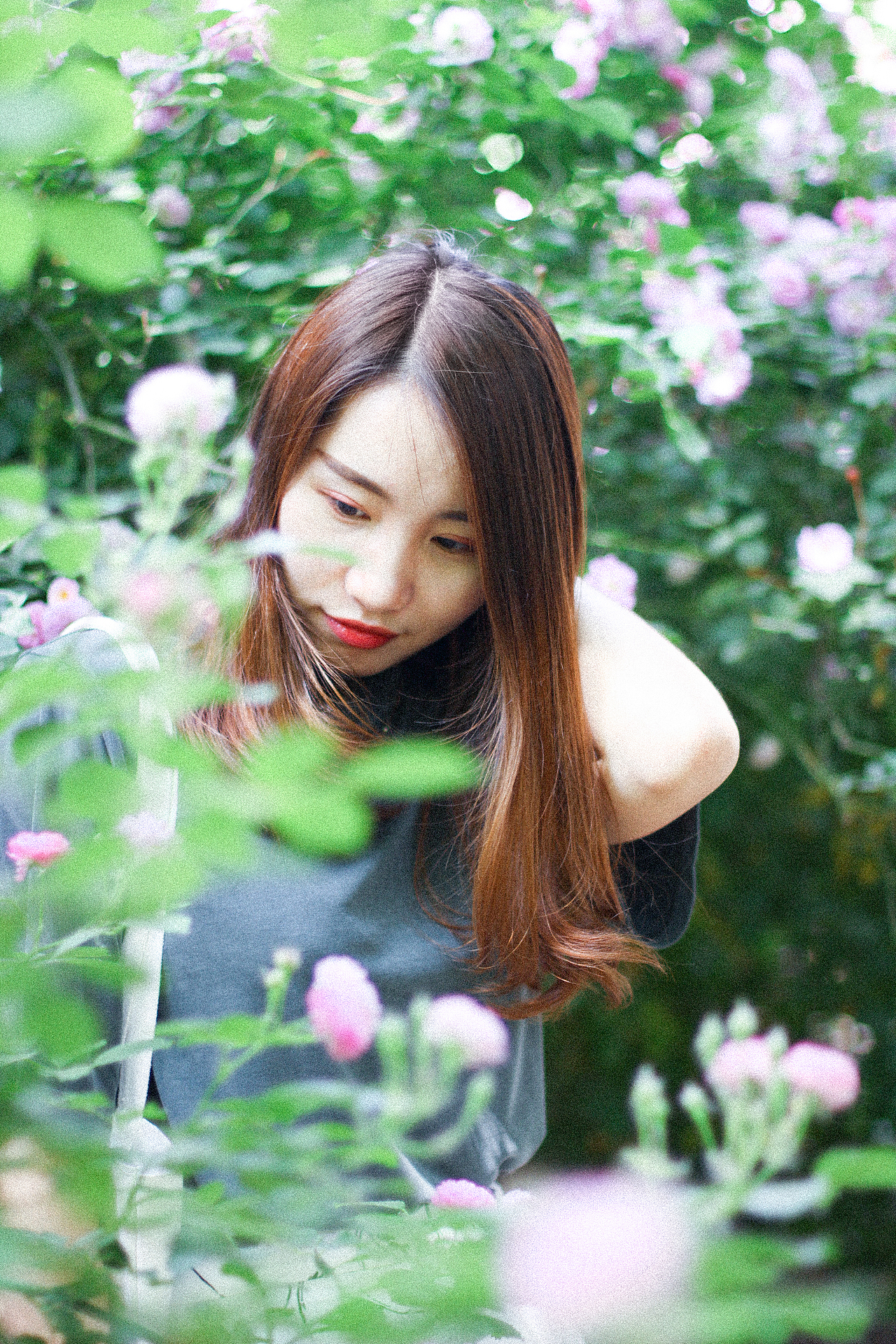 2018年5月份北京的蔷薇花和少女花花。（图ZMTE1MzE5Nzgw） - 人像摄影 - 站酷设计师張鹿原创素材 - 站酷ZCOOL