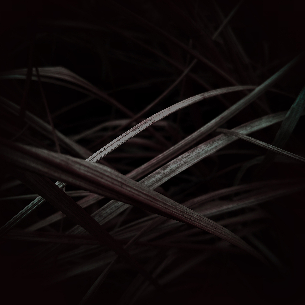 被忽视的自然美（图ZMTI0OTU3NjY4） - 风光摄影 - 站酷设计师Jauver原创素材 - 站酷ZCOOL