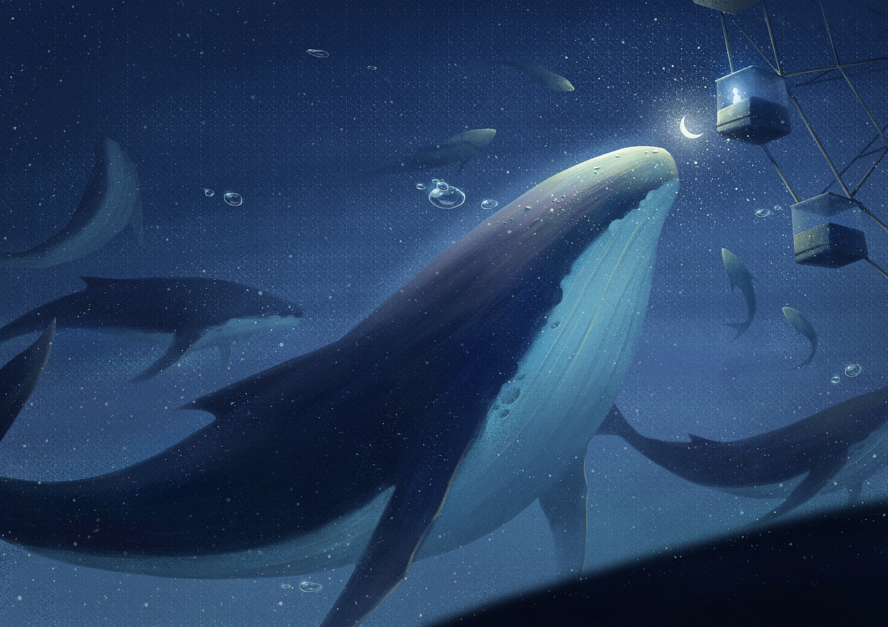 鲸（图ZMjQ4NjE0Njg0） - 创作习作 - 站酷设计师希卡w原创素材 - 站酷ZCOOL