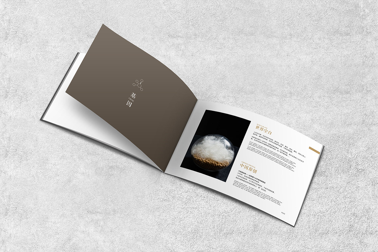 画册（图ZMTQ5OTMxOTI4） - 品牌 - 站酷设计师不在状态原创素材 - 站酷ZCOOL