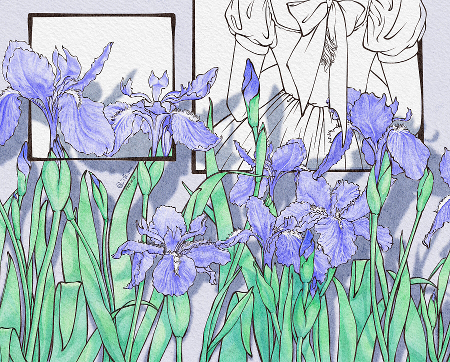 谁能抵挡得住鸢尾花的魅力（图ZMzQxMTY1ODQ4） - 艺术插画 - 站酷设计师画画儿汀寂原创素材 - 站酷ZCOOL