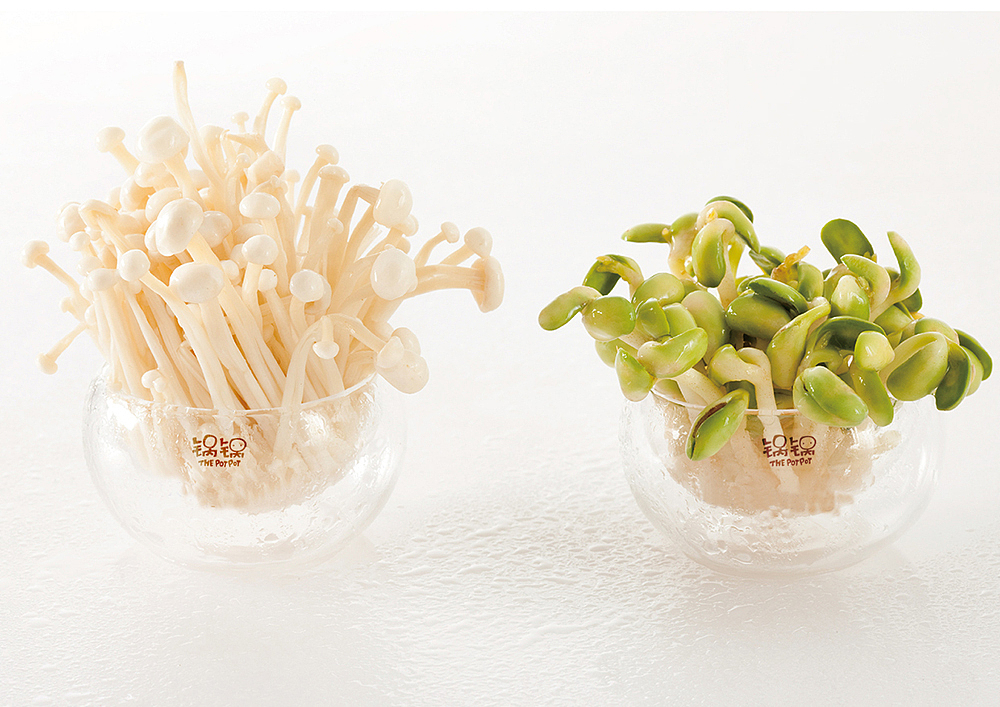 品牌设计——锅锅