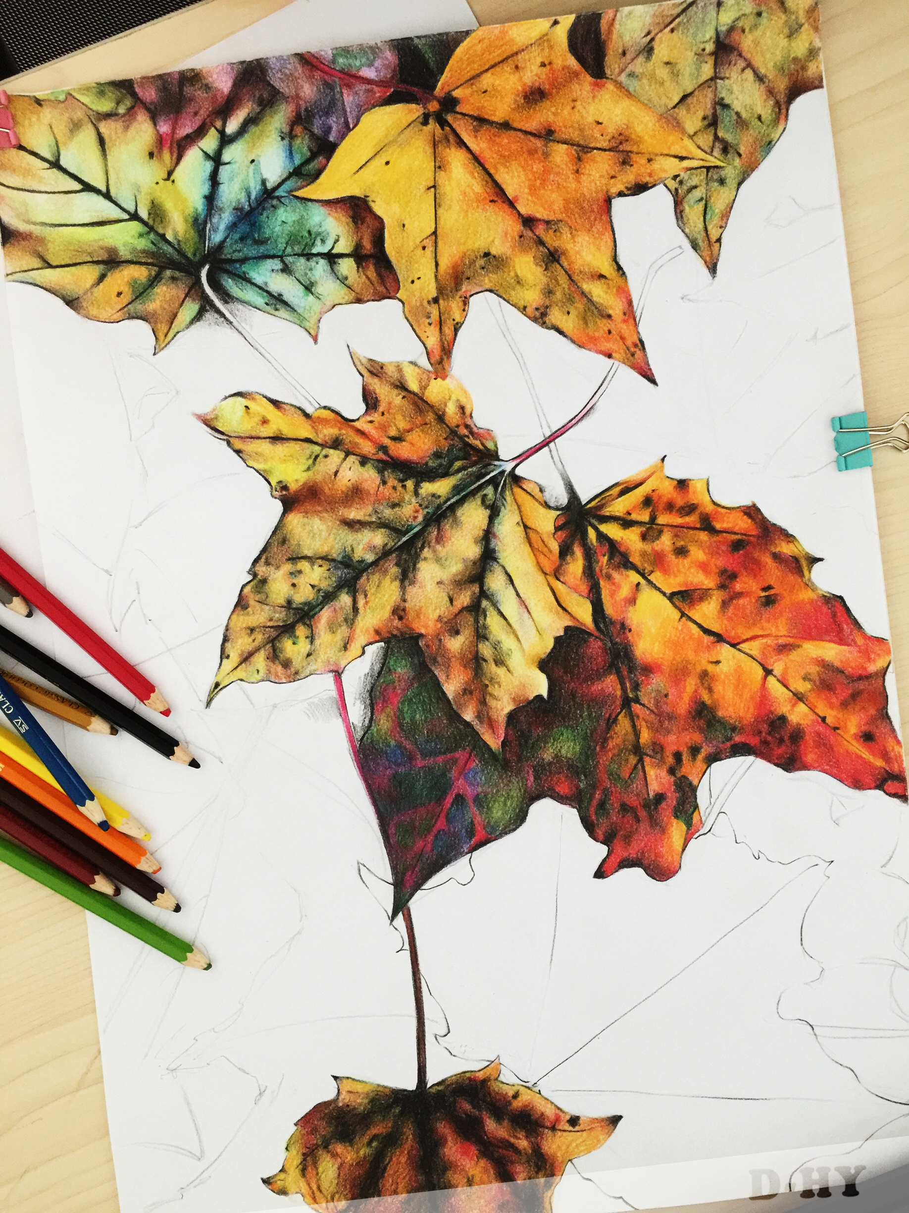 枯树叶图片创意绘画图片