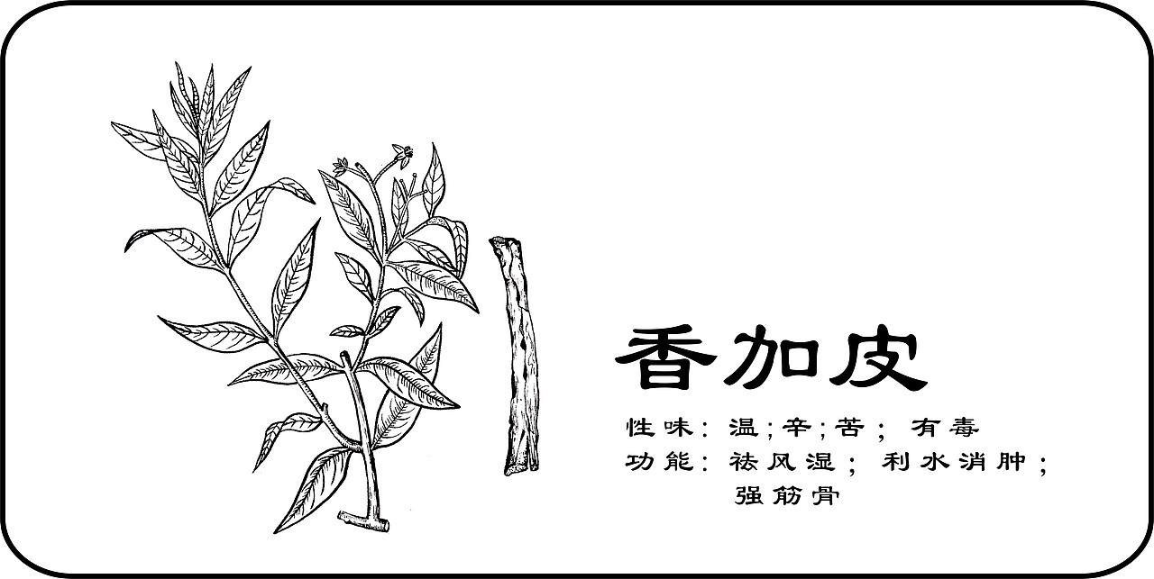 中草药手绘标示