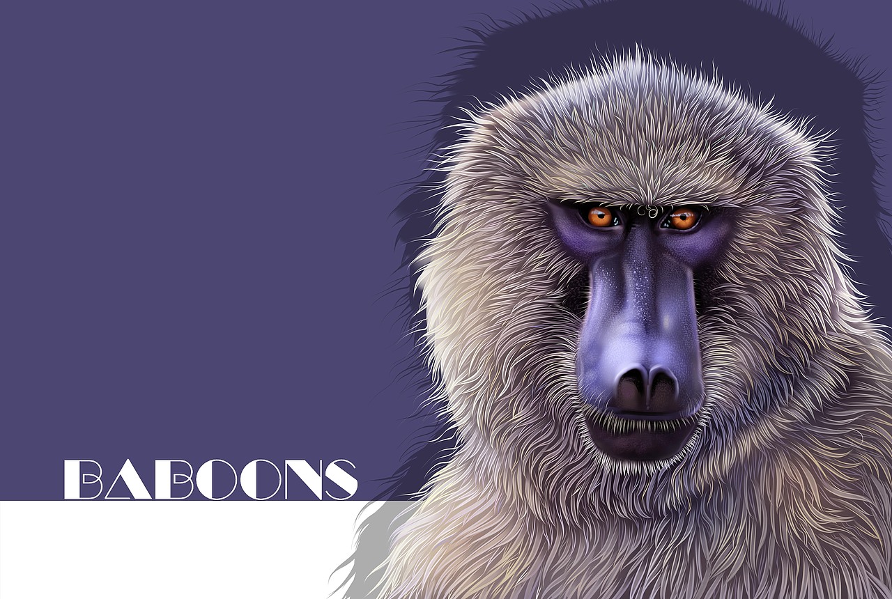 动物插画-小熊猫.狒狒（图ZMjU2ODY1MjA0） - 商业插画 - 站酷设计师狮子大亨原创素材 - 站酷ZCOOL