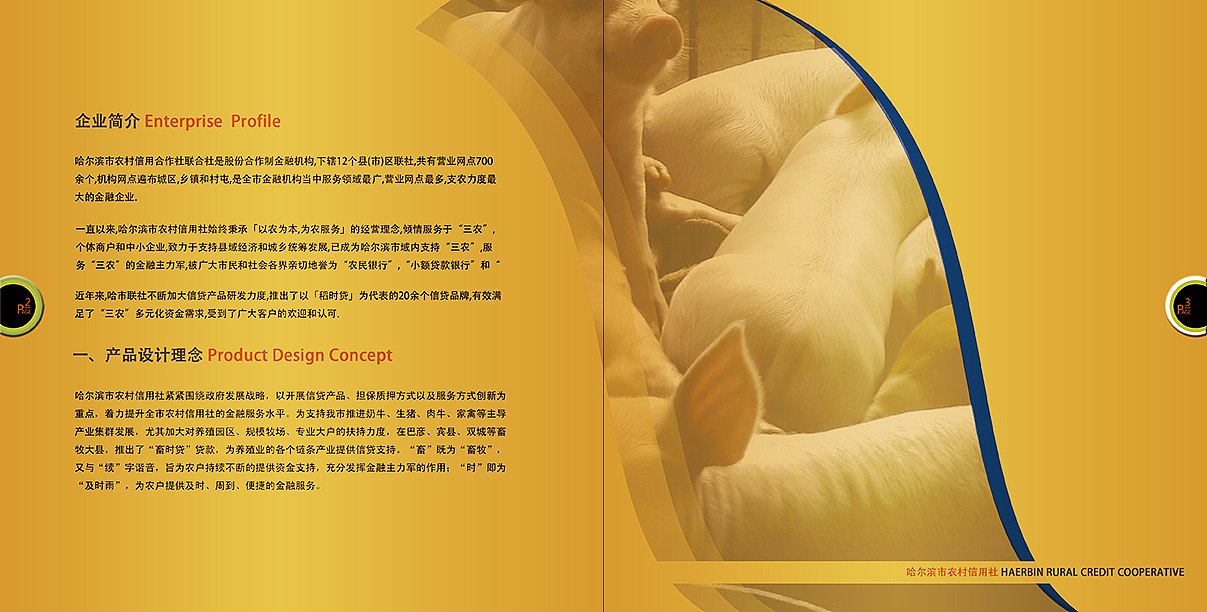 蓄时贷宣传册设计（图ZMTA5MDk3OTY=） - 书籍/画册 - 站酷设计师灵魂猎手原创素材 - 站酷ZCOOL