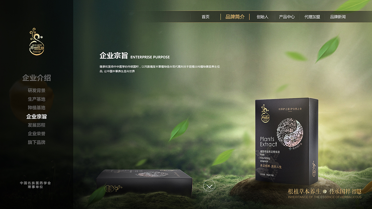 壽世良朋官網(wǎng)（圖ZMjU0NjEzNTY4） - 企業(yè)官網(wǎng) - 站酷設(shè)計(jì)師Tony黃藝強(qiáng)原創(chuàng)素材 - 站酷ZCOOL