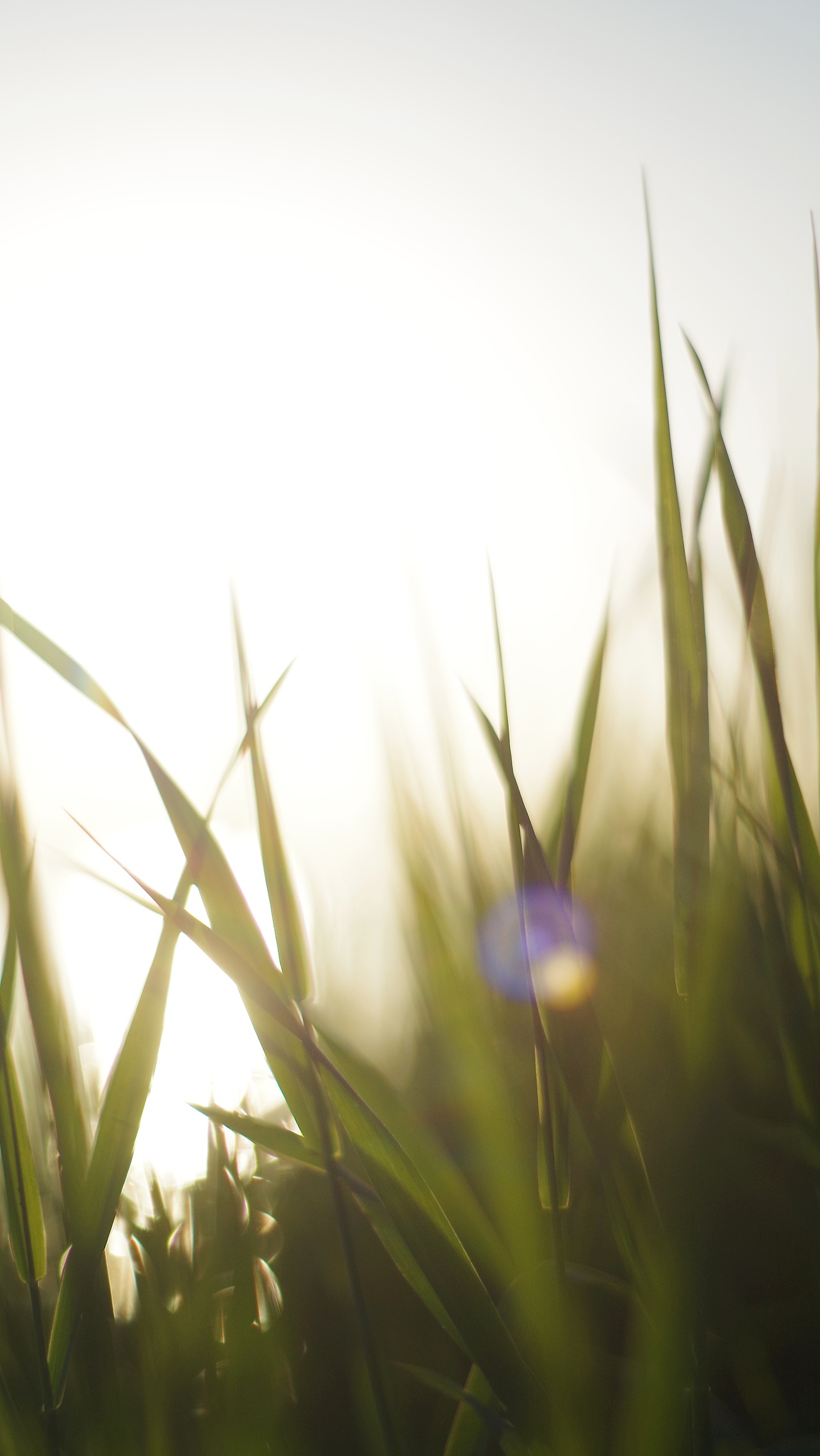 铜官窑（图ZMTU0ODY4NTY0） - 风光摄影 - 站酷设计师你哈哦原创素材 - 站酷ZCOOL