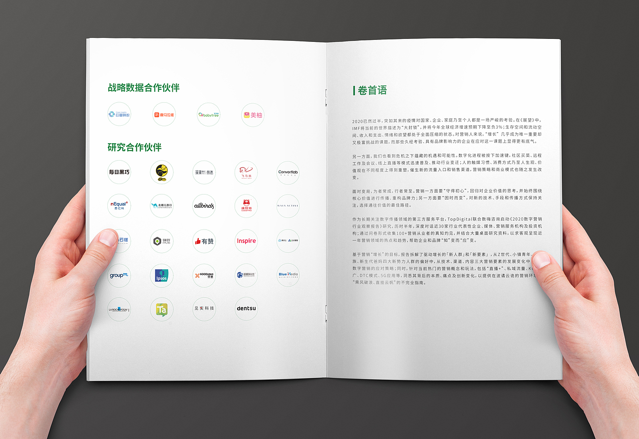 数据类画册（图ZMjEzODE0MTAw） - 书籍/画册 - 站酷设计师海豹工厂原创素材 - 站酷ZCOOL