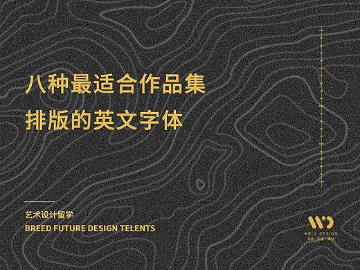 八种最适合作品集排版的英文字体