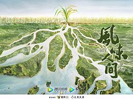 海报