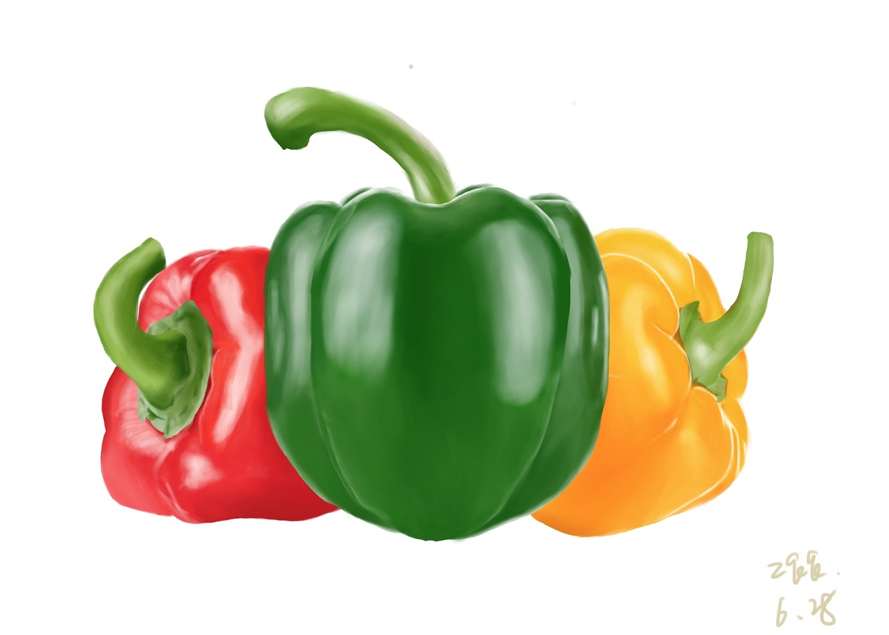 手绘每日一练-写实青椒