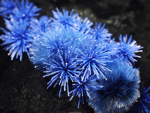 Minerals