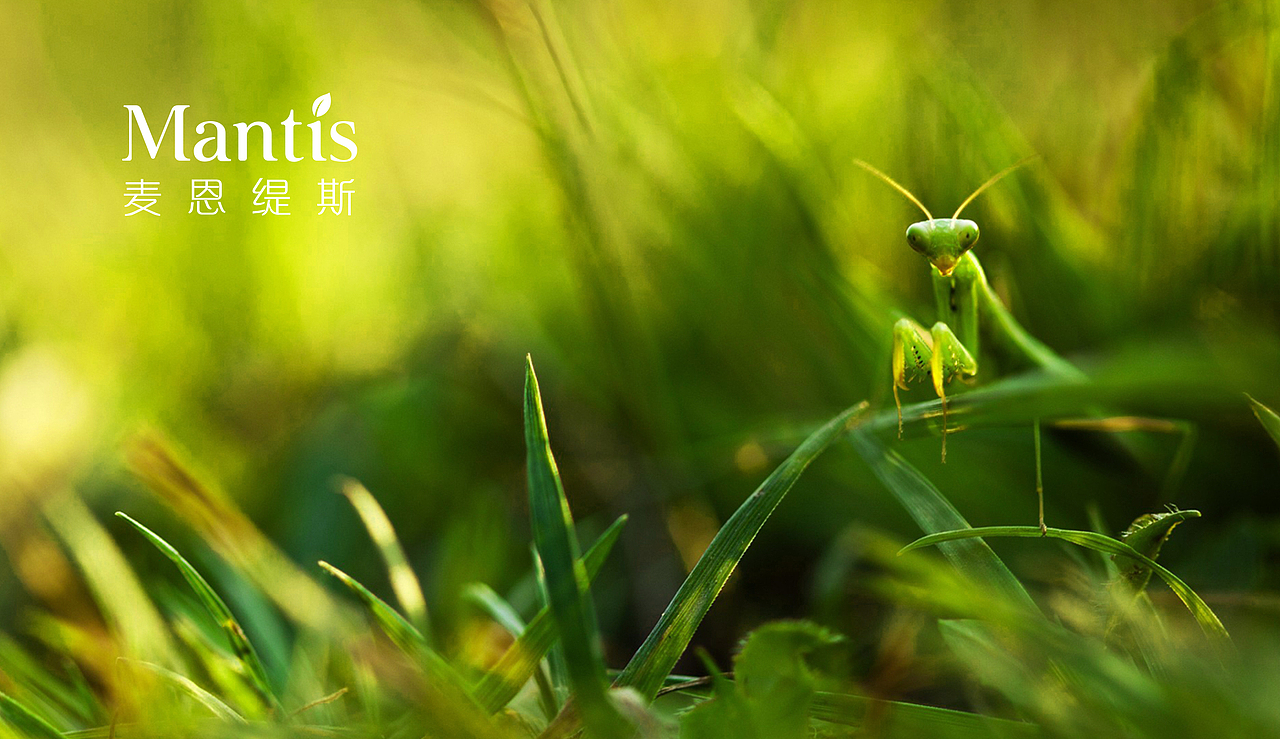 MANTIS-化妆品牌形象设计（图ZNjkzNjgzNzY=） - 包装 - 站酷设计师Maggi_原创素材 - 站酷ZCOOL