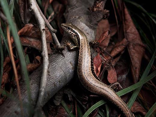 日常摄影（个人主页-ZMjkwMDIyMzY=） - 风光摄影 - 站酷设计师余几点原创素材 - 站酷ZCOOL