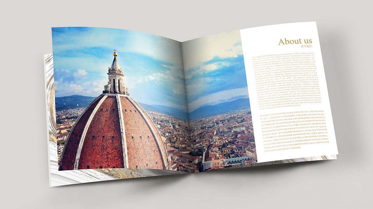 MACRI CHEMICALS MC艺术涂料画册设计