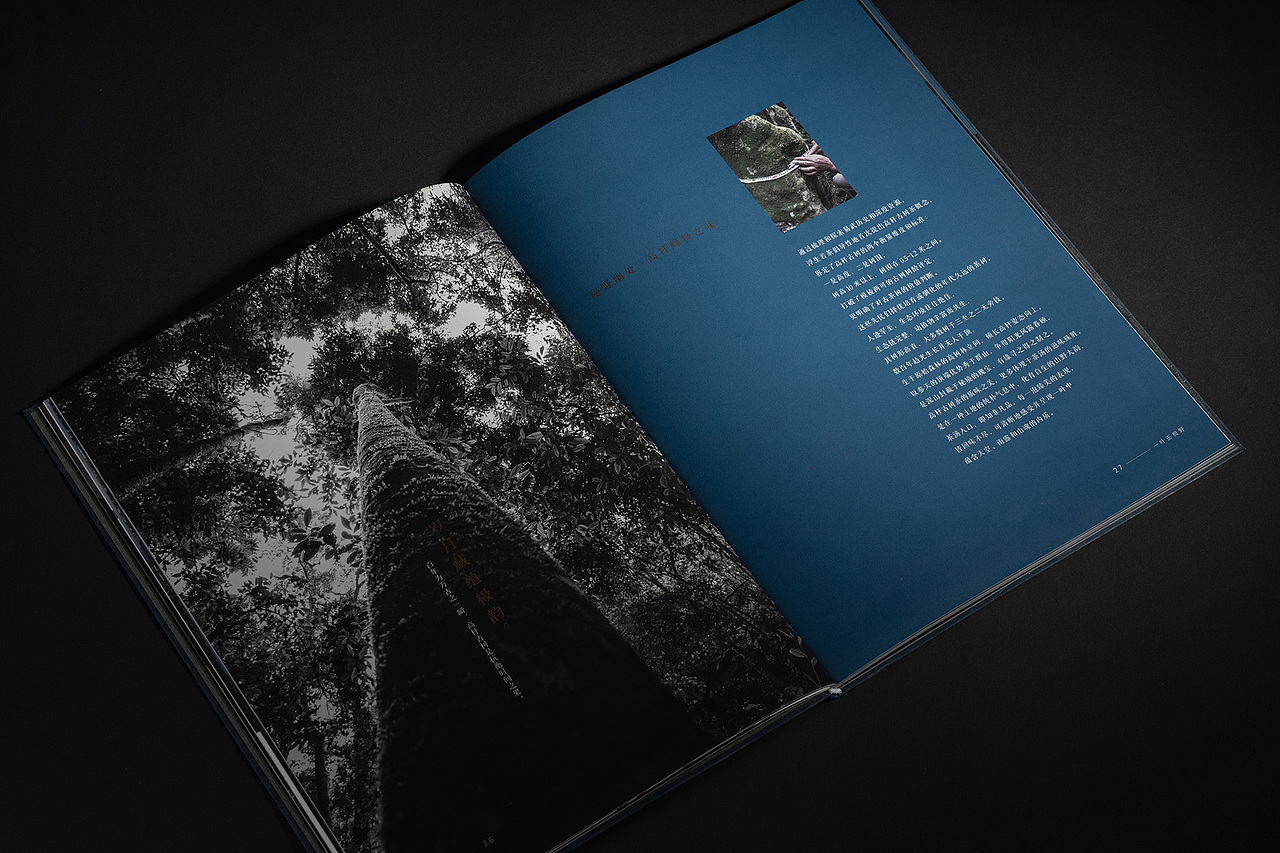 茶叶品牌画册（成品）（图ZMjc1NDgzOTc2） - 书籍/画册 - 站酷设计师竣阳视界原创素材 - 站酷ZCOOL