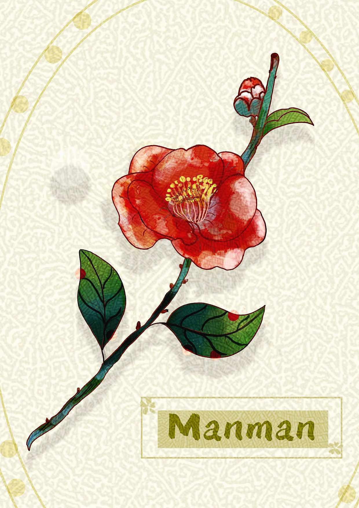 《一枝山茶花》（图ZMzY5MjAzNzU2） - 商业插画 - 站酷设计师漫漫子麒原创素材 - 站酷ZCOOL