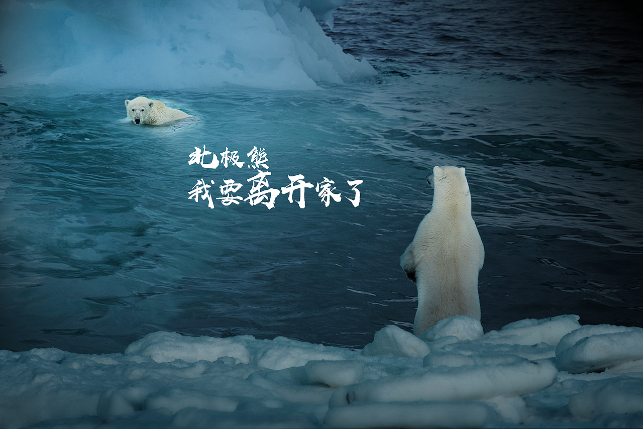 北极！北极！（图ZOTU2NjI3MDQ=） - 其他 - 站酷设计师春蕾恐恐恐恐棉花原创素材 - 站酷ZCOOL
