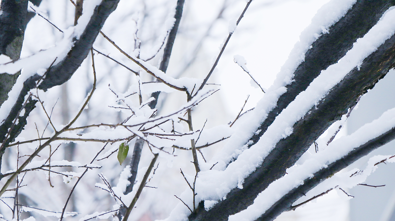 练习拍摄雪景（图ZMTkwNTMxNzIw） - 环境/建筑摄影 - 站酷设计师聆东先生原创素材 - 站酷ZCOOL