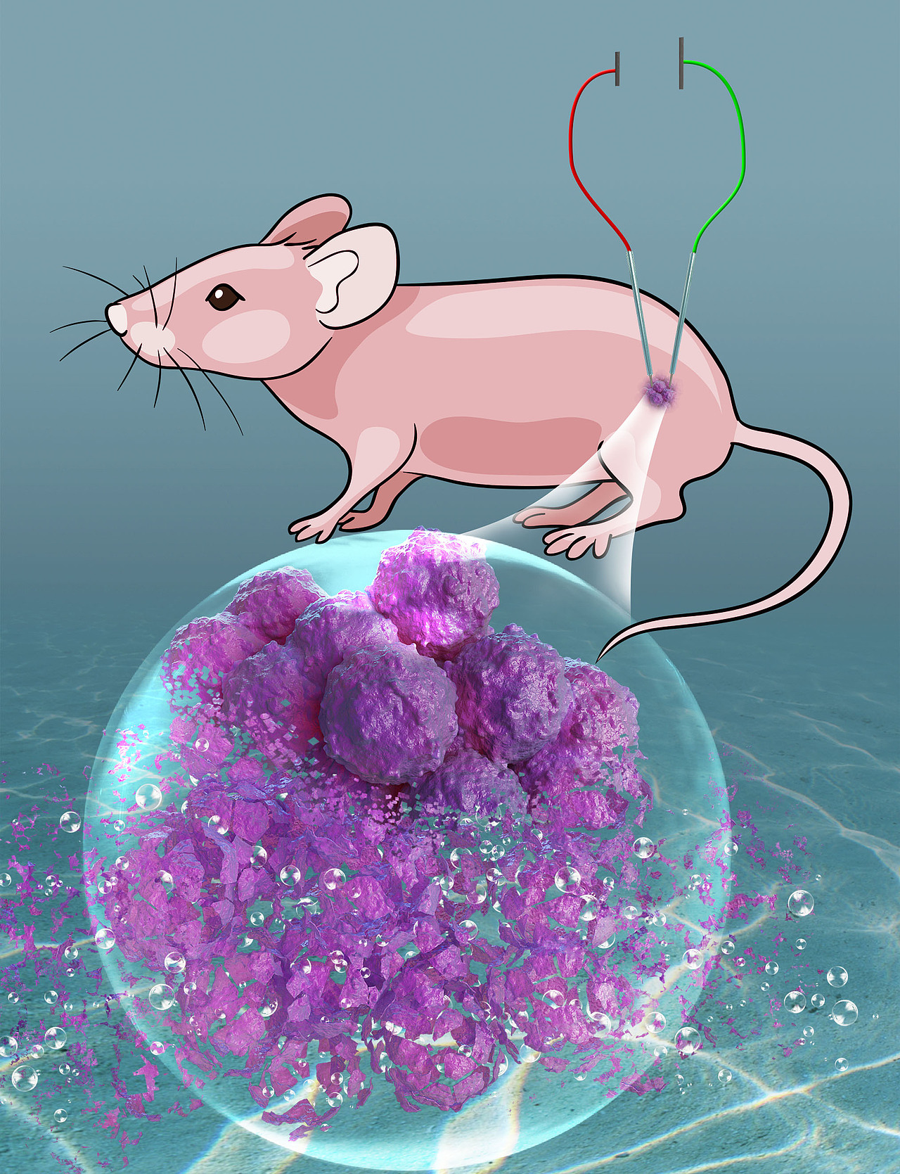 邦图科研绘图SCI画图学术杂志封面设计示意图医学动画