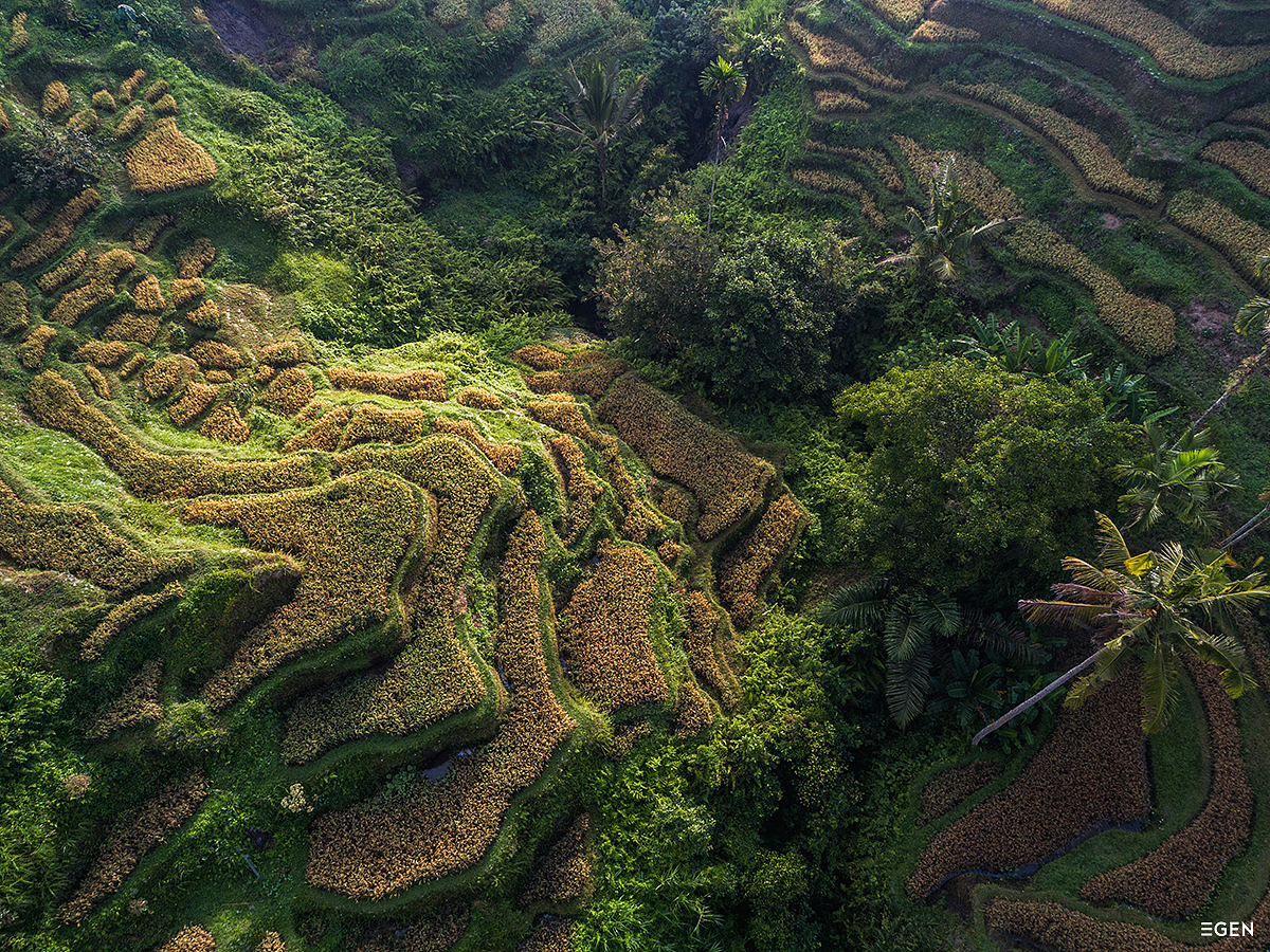《Trip to Bali》 旅途记忆-巴厘岛