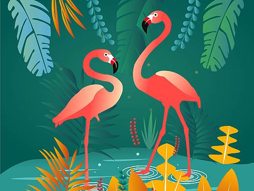 插画习作-自然印记火烈鸟（个人主页-ZMzMxMjYwODg=） - 创作习作 - 站酷设计师zhangabc原创素材 - 站酷ZCOOL