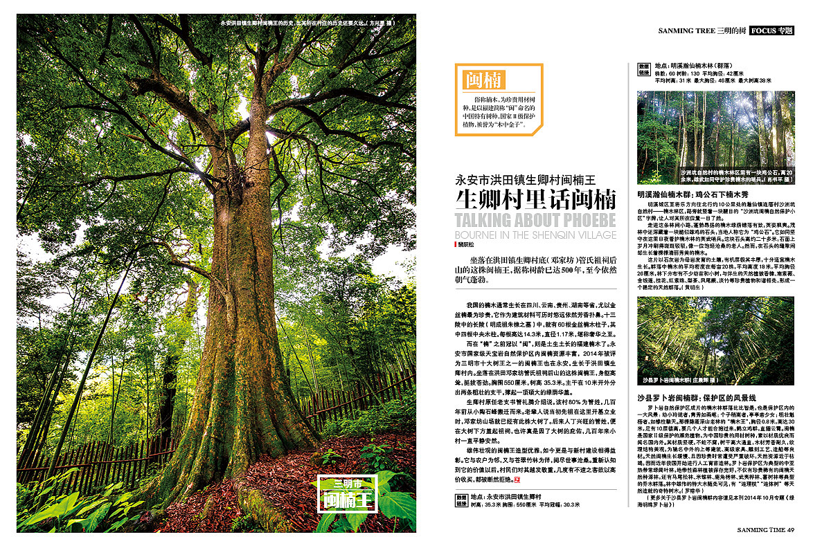 《时代三明》杂志-专题·三明的树-封面:李家乡鲜水塘