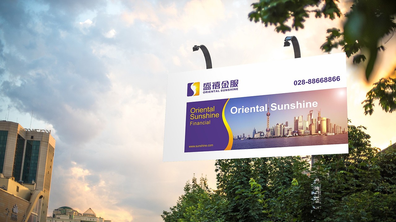 2018【盛禧金服】